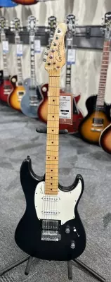 Godin Guitars - G34055